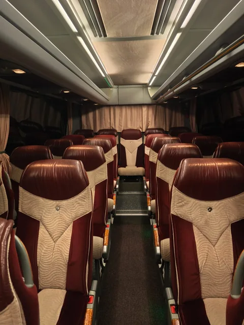 Rows of burgundy seats and overhead luggage shelves